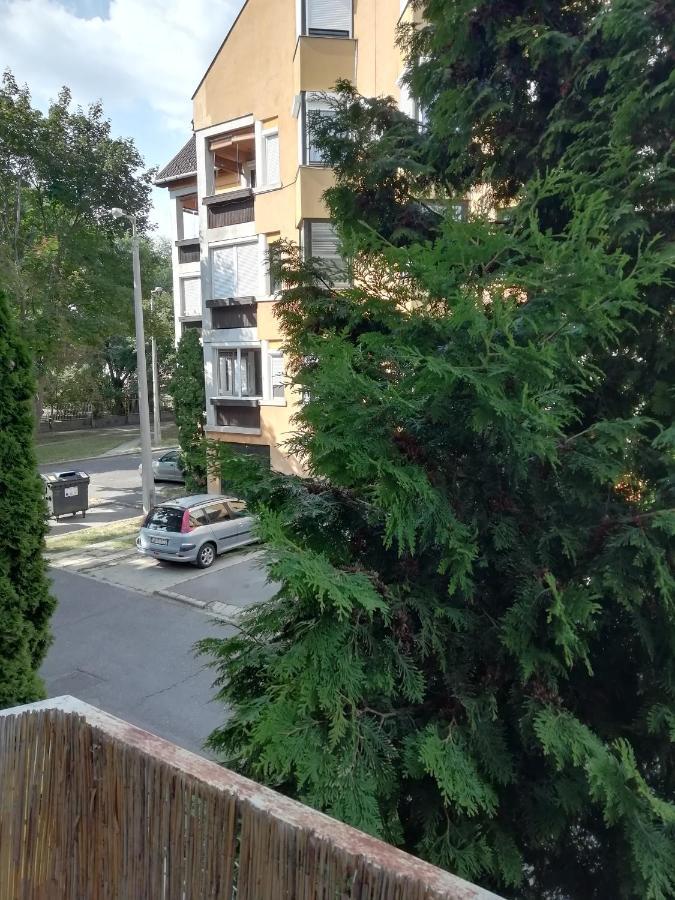 Rokus Apartman Lejlighed Szeged Eksteriør billede